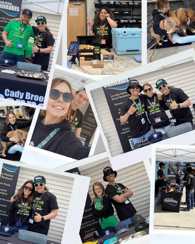 Marijuana Store Dudley, MA & Sturbridge, MA, Cannabis Dispensary